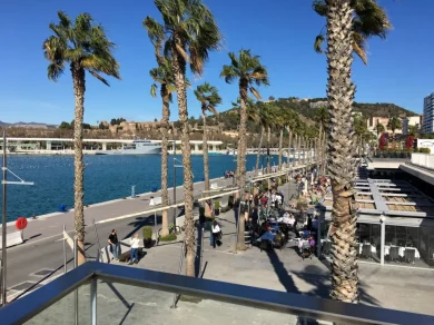 malaga