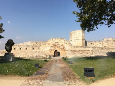 zamora